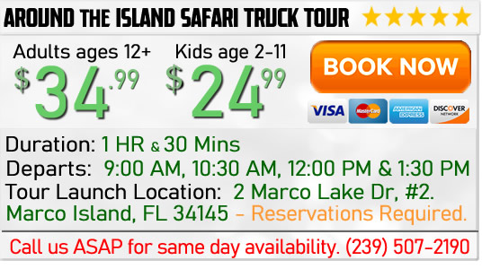 Book a Marco Island Safari Truck Tour