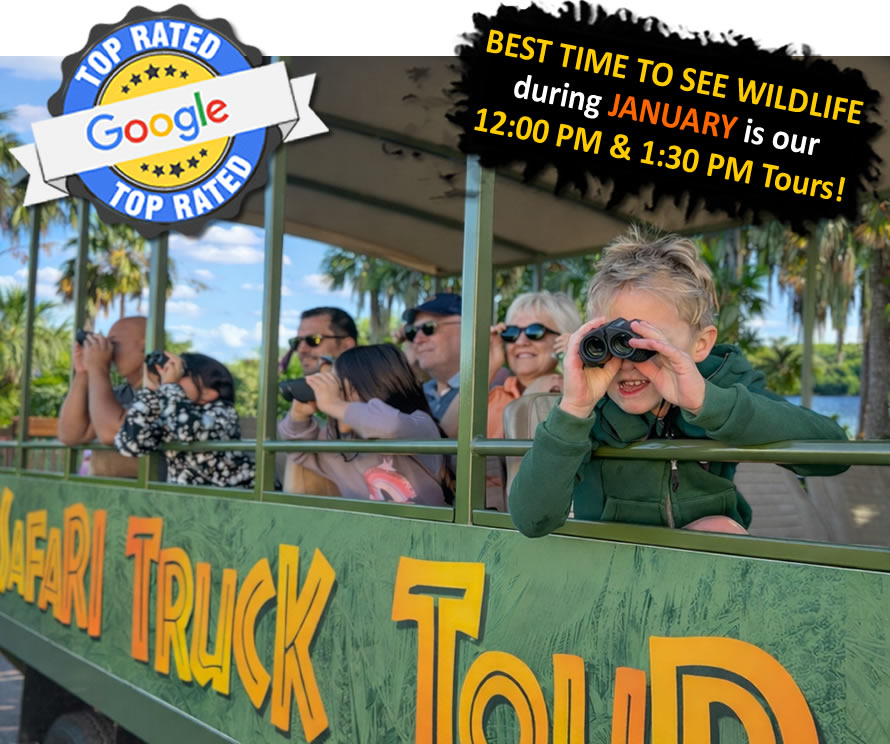 Around the Island Safari Truck Tour