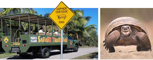 Marco Island Safari Photos
