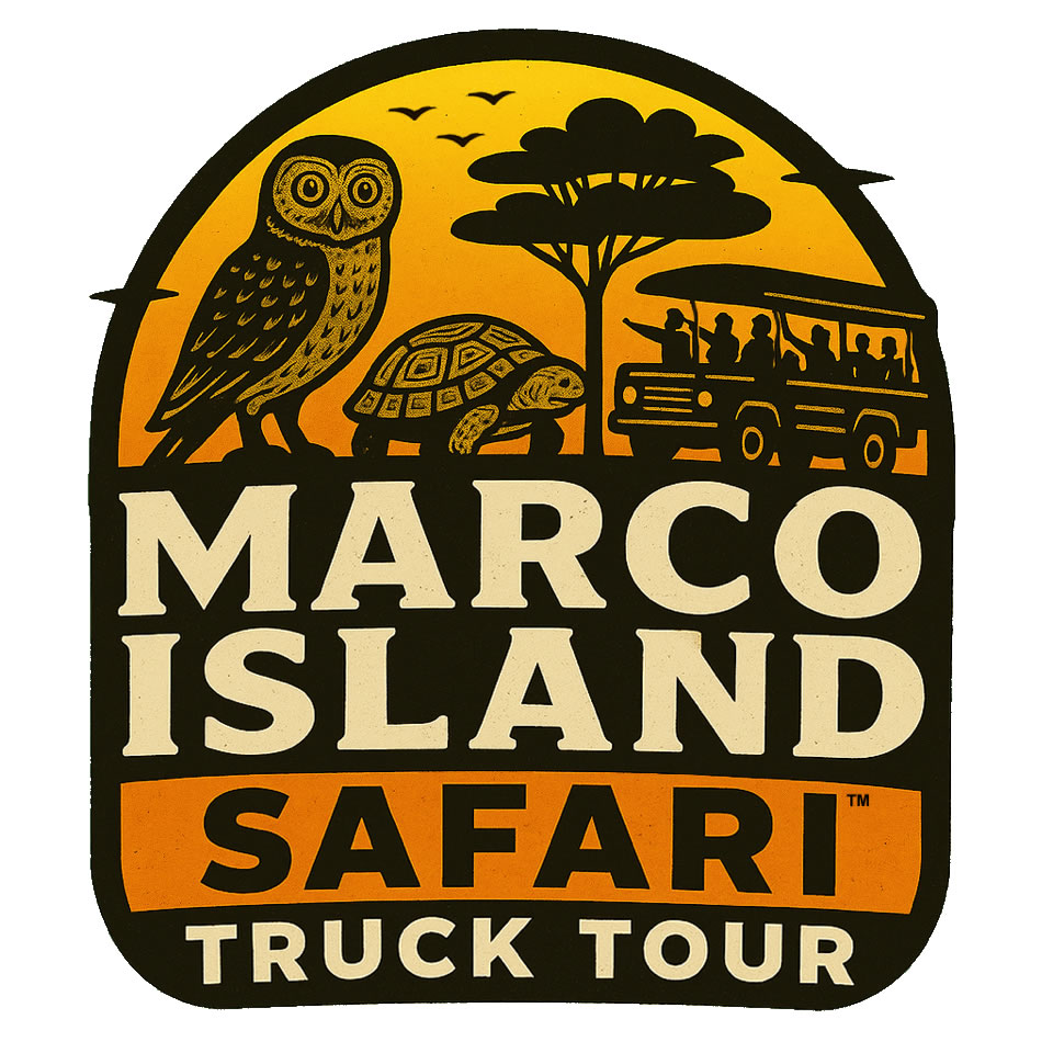 About Marco Island Safari